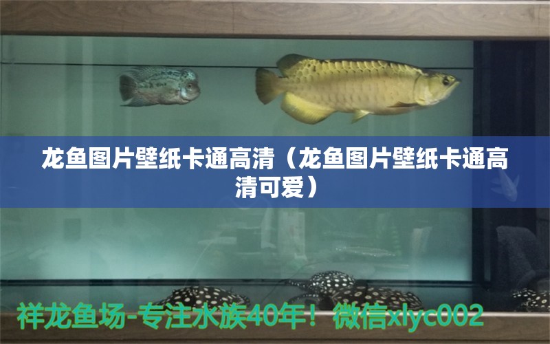 龍魚圖片壁紙卡通高清（龍魚圖片壁紙卡通高清可愛） 廣州龍魚批發(fā)市場