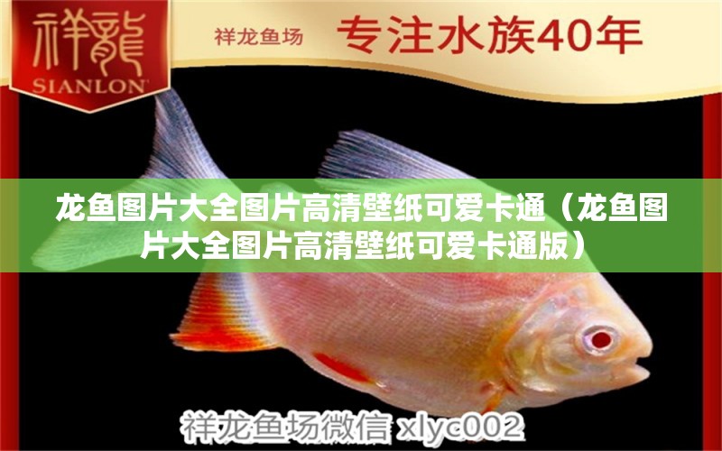 龍魚圖片大全圖片高清壁紙可愛卡通（龍魚圖片大全圖片高清壁紙可愛卡通版）