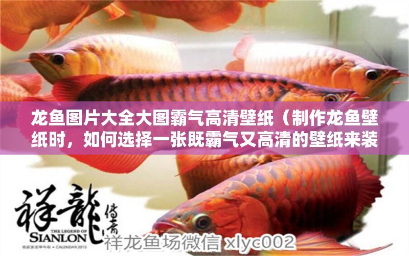 龍魚圖片大全大圖霸氣高清壁紙（制作龍魚壁紙時(shí)，如何選擇一張既霸氣又高清的壁紙來裝飾自己的設(shè)備） 水族問答 第1張