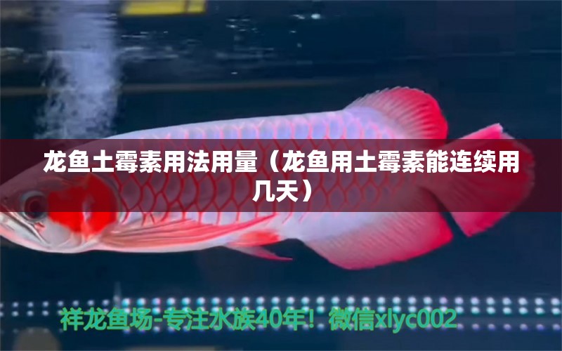 龍魚土霉素用法用量（龍魚用土霉素能連續(xù)用幾天）