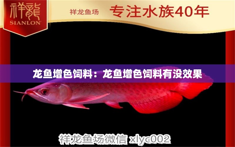 龍魚增色飼料：龍魚增色飼料有沒效果