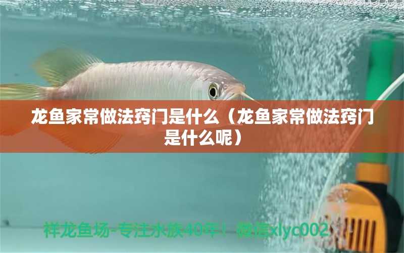 龍魚家常做法竅門是什么（龍魚家常做法竅門是什么呢）