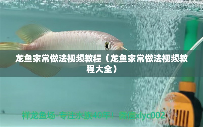 龍魚家常做法視頻教程（龍魚家常做法視頻教程大全） 廣州龍魚批發(fā)市場(chǎng)