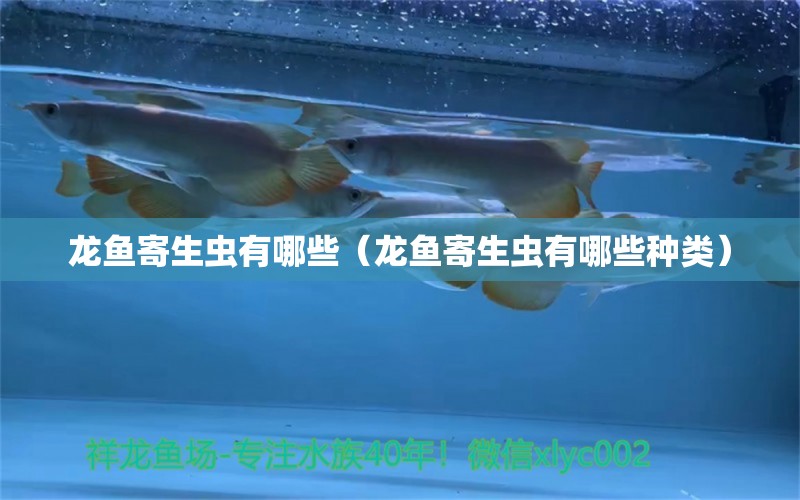 龍魚(yú)寄生蟲(chóng)有哪些（龍魚(yú)寄生蟲(chóng)有哪些種類）