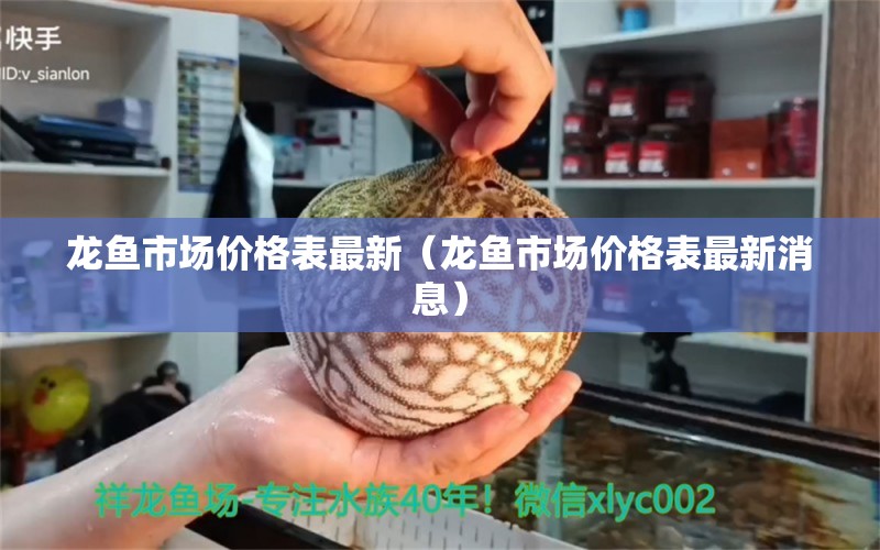 龍魚市場價格表最新（龍魚市場價格表最新消息） 觀賞魚