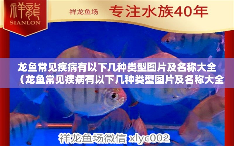 龍魚(yú)常見(jiàn)疾病有以下幾種類型圖片及名稱大全（龍魚(yú)常見(jiàn)疾病有以下幾種類型圖片及名稱大全圖解） 龍魚(yú)疾病與治療