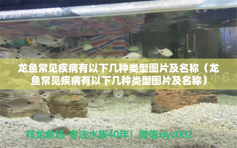 龍魚(yú)常見(jiàn)疾病有以下幾種類型圖片及名稱（龍魚(yú)常見(jiàn)疾病有以下幾種類型圖片及名稱） 龍魚(yú)疾病與治療