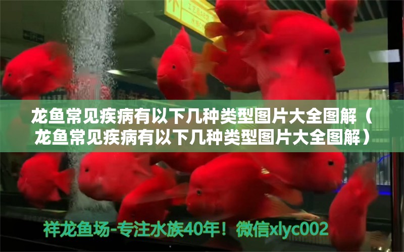 龍魚常見疾病有以下幾種類型圖片大全圖解（龍魚常見疾病有以下幾種類型圖片大全圖解）