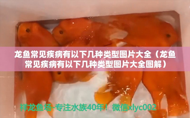 龍魚常見疾病有以下幾種類型圖片大全（龍魚常見疾病有以下幾種類型圖片大全圖解）