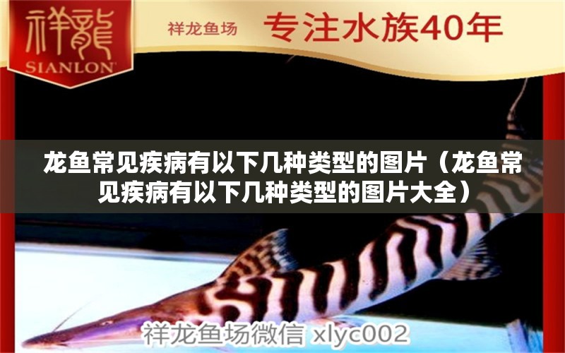 龍魚(yú)常見(jiàn)疾病有以下幾種類型的圖片（龍魚(yú)常見(jiàn)疾病有以下幾種類型的圖片大全）