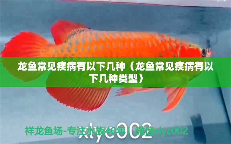 龍魚常見疾病有以下幾種（龍魚常見疾病有以下幾種類型） 龍魚疾病與治療