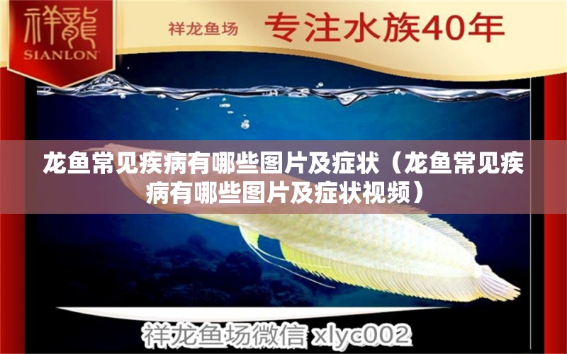 龍魚(yú)常見(jiàn)疾病有哪些圖片及癥狀（龍魚(yú)常見(jiàn)疾病有哪些圖片及癥狀視頻）