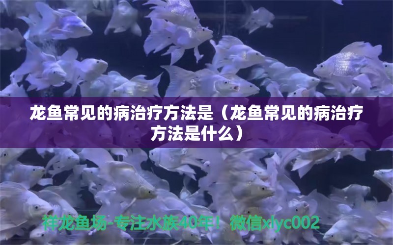 龍魚常見的病治療方法是（龍魚常見的病治療方法是什么）