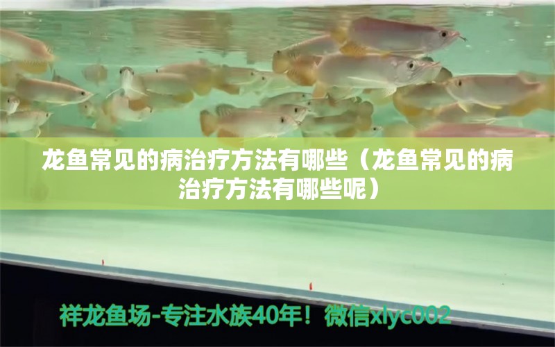 龍魚常見的病治療方法有哪些（龍魚常見的病治療方法有哪些呢）