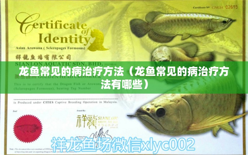 龍魚常見的病治療方法（龍魚常見的病治療方法有哪些） 龍魚疾病與治療