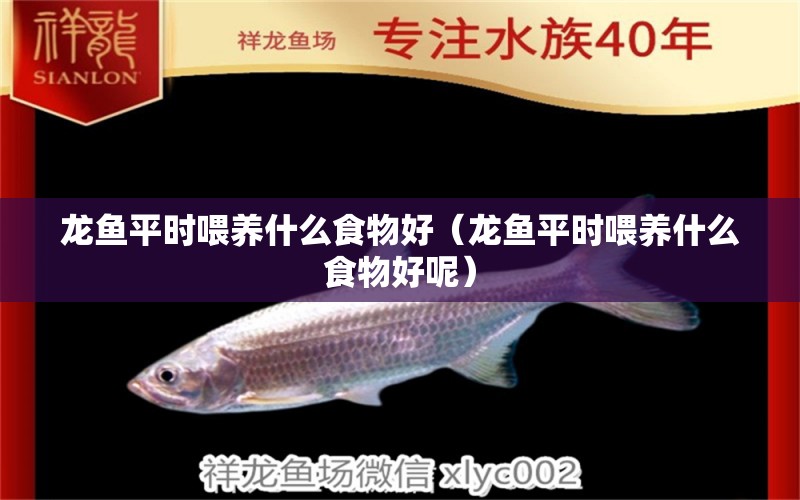 龍魚平時(shí)喂養(yǎng)什么食物好（龍魚平時(shí)喂養(yǎng)什么食物好呢）