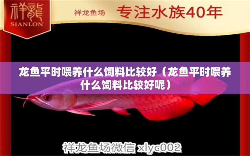 龍魚平時喂養(yǎng)什么飼料比較好（龍魚平時喂養(yǎng)什么飼料比較好呢） 廣州龍魚批發(fā)市場