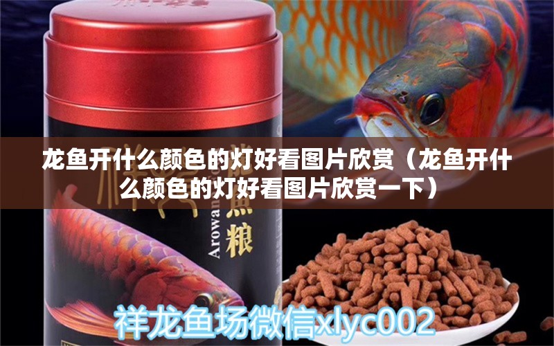 龍魚開什么顏色的燈好看圖片欣賞（龍魚開什么顏色的燈好看圖片欣賞一下） 廣州龍魚批發(fā)市場