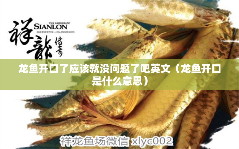 龍魚開口了應(yīng)該就沒問題了吧英文（龍魚開口是什么意思）