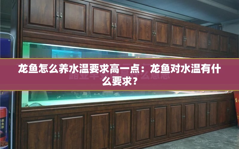 龍魚怎么養(yǎng)水溫要求高一點：龍魚對水溫有什么要求？ 水族問答 第2張