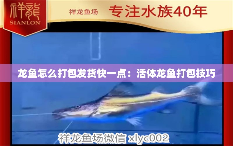 龍魚(yú)怎么打包發(fā)貨快一點(diǎn)：活體龍魚(yú)打包技巧