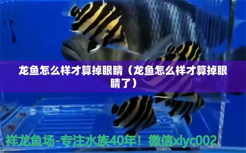 龍魚怎么樣才算掉眼睛（龍魚怎么樣才算掉眼睛了）