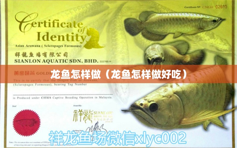 龍魚怎樣做（龍魚怎樣做好吃）