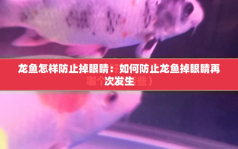 龍魚怎樣防止掉眼睛：如何防止龍魚掉眼睛再次發(fā)生 水族問答 第1張