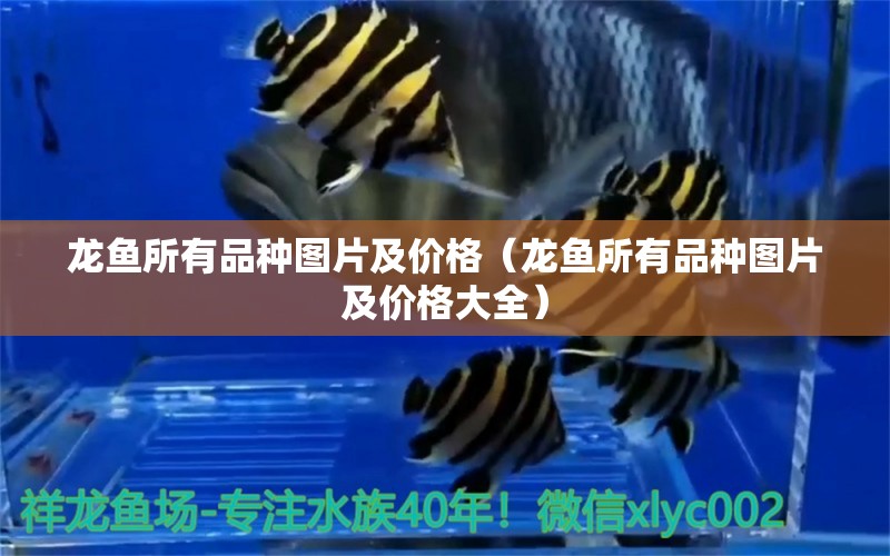 龍魚所有品種圖片及價格（龍魚所有品種圖片及價格大全） 龍魚疾病與治療