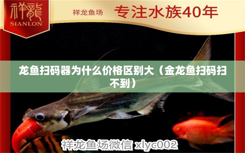 龍魚掃碼器為什么價(jià)格區(qū)別大（金龍魚掃碼掃不到）