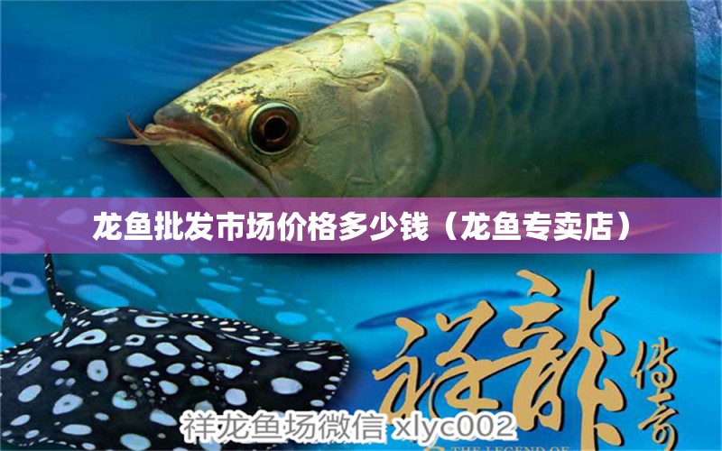 龍魚(yú)批發(fā)市場(chǎng)價(jià)格多少錢(qián)（龍魚(yú)專(zhuān)賣(mài)店）