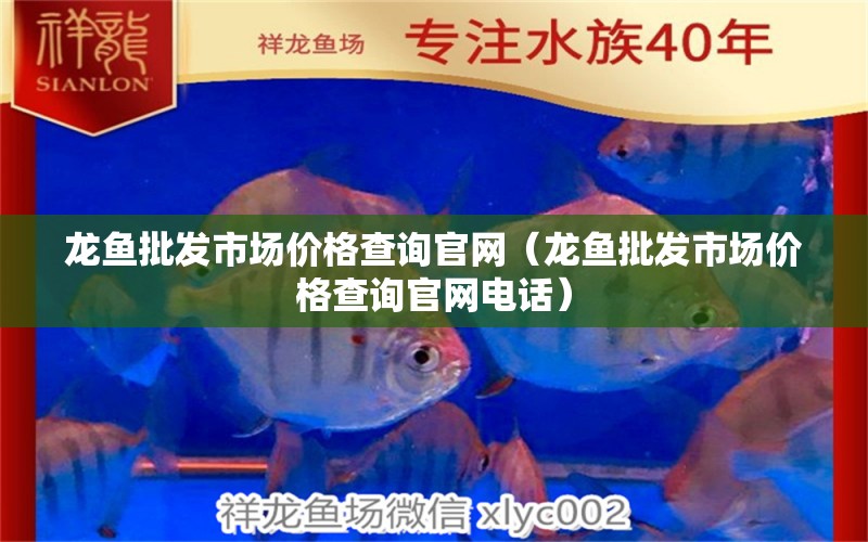 龍魚批發(fā)市場價格查詢官網（龍魚批發(fā)市場價格查詢官網電話）