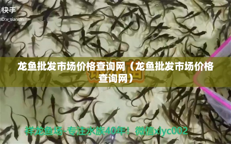 龍魚批發(fā)市場(chǎng)價(jià)格查詢網(wǎng)（龍魚批發(fā)市場(chǎng)價(jià)格查詢網(wǎng)）