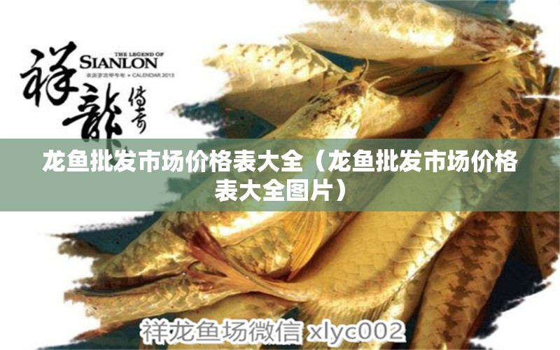 龍魚批發(fā)市場價(jià)格表大全（龍魚批發(fā)市場價(jià)格表大全圖片） 龍魚批發(fā)