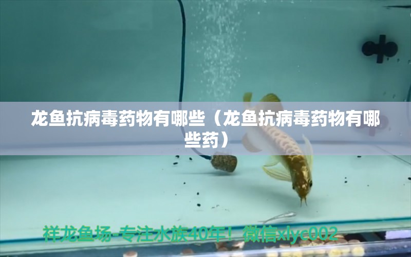 龍魚抗病毒藥物有哪些（龍魚抗病毒藥物有哪些藥） 龍魚疾病與治療