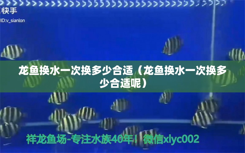 龍魚換水一次換多少合適（龍魚換水一次換多少合適呢）