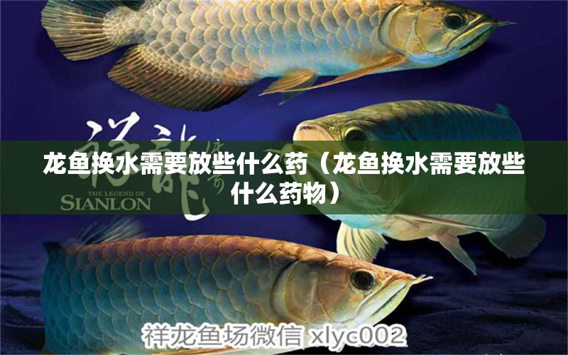 龍魚換水需要放些什么藥（龍魚換水需要放些什么藥物） 廣州龍魚批發(fā)市場