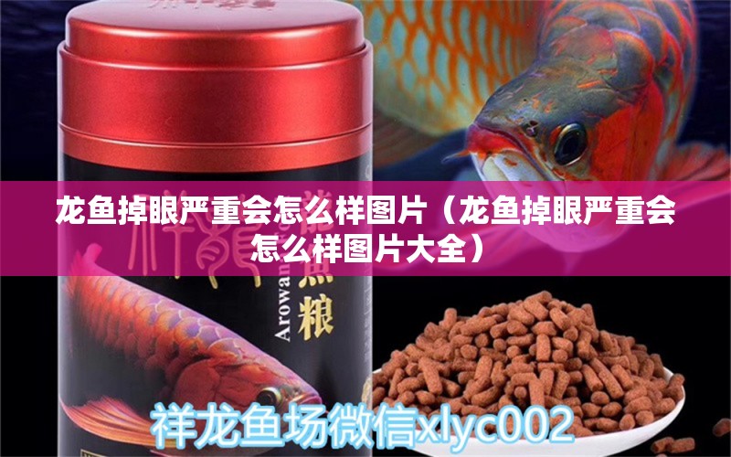 龍魚掉眼嚴(yán)重會怎么樣圖片（龍魚掉眼嚴(yán)重會怎么樣圖片大全）