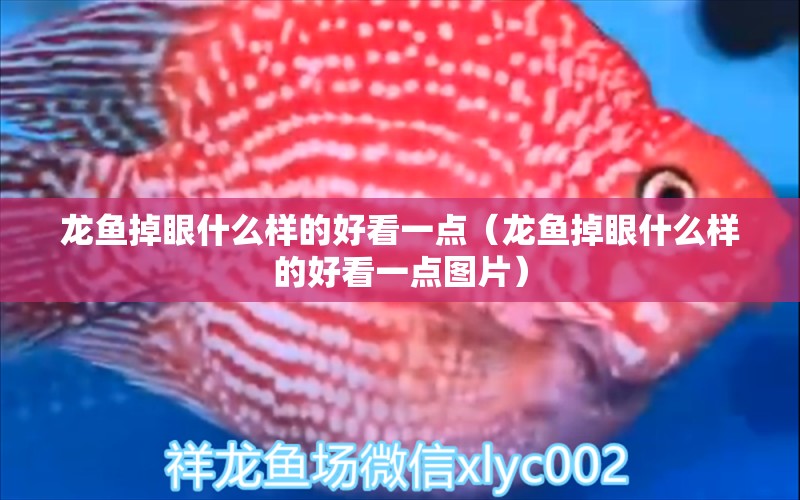 龍魚掉眼什么樣的好看一點(diǎn)（龍魚掉眼什么樣的好看一點(diǎn)圖片）