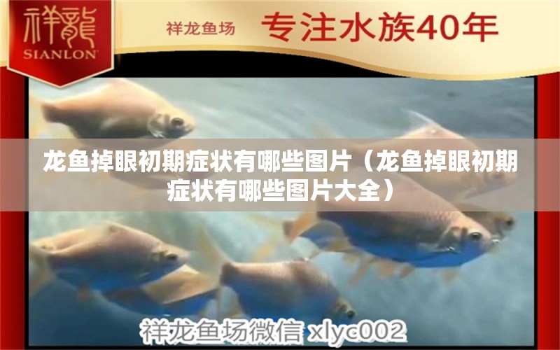 龍魚掉眼初期癥狀有哪些圖片（龍魚掉眼初期癥狀有哪些圖片大全）