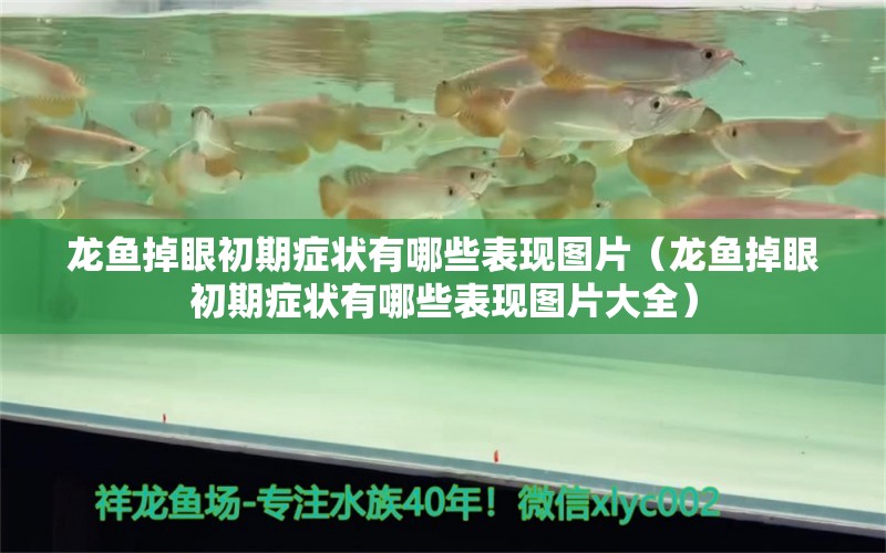 龍魚掉眼初期癥狀有哪些表現(xiàn)圖片（龍魚掉眼初期癥狀有哪些表現(xiàn)圖片大全）