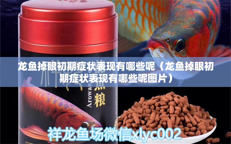 龍魚掉眼初期癥狀表現(xiàn)有哪些呢（龍魚掉眼初期癥狀表現(xiàn)有哪些呢圖片） 龍魚疾病與治療