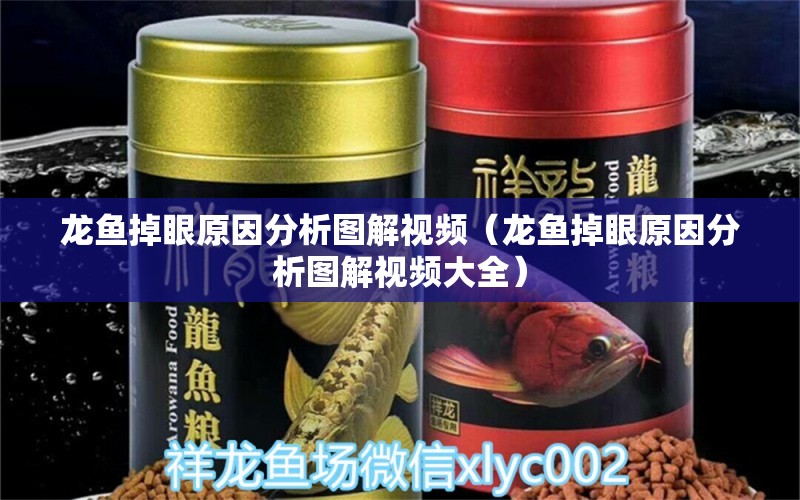 龍魚掉眼原因分析圖解視頻（龍魚掉眼原因分析圖解視頻大全） 龍魚疾病與治療