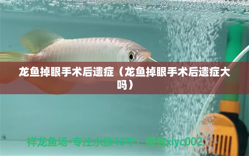 龍魚掉眼手術(shù)后遺癥（龍魚掉眼手術(shù)后遺癥大嗎） 龍魚疾病與治療