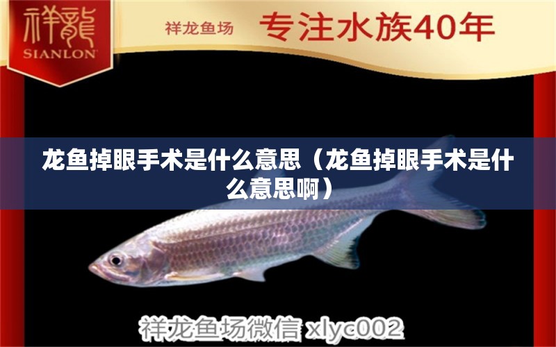 龍魚掉眼手術是什么意思（龍魚掉眼手術是什么意思?。? title=