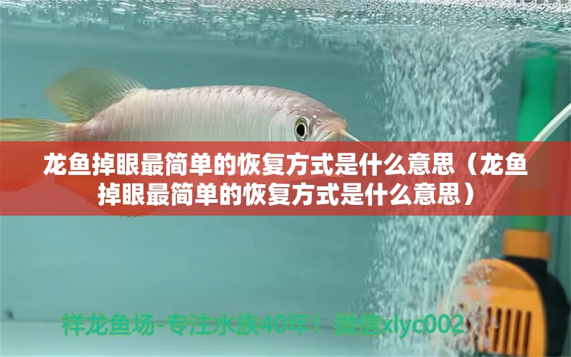 龍魚掉眼最簡單的恢復(fù)方式是什么意思（龍魚掉眼最簡單的恢復(fù)方式是什么意思）