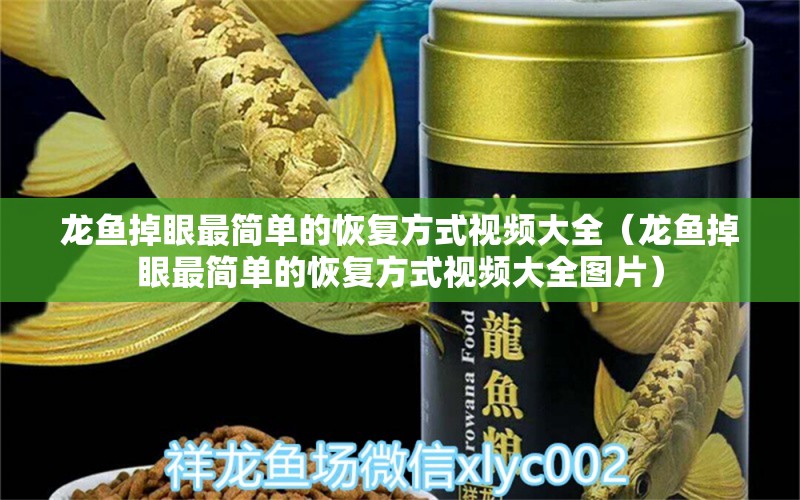 龍魚掉眼最簡單的恢復方式視頻大全（龍魚掉眼最簡單的恢復方式視頻大全圖片）