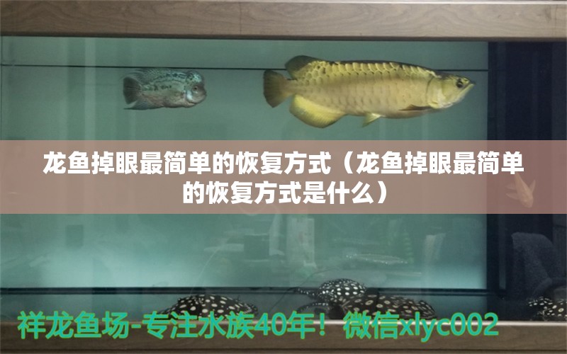 龍魚掉眼最簡單的恢復(fù)方式（龍魚掉眼最簡單的恢復(fù)方式是什么）