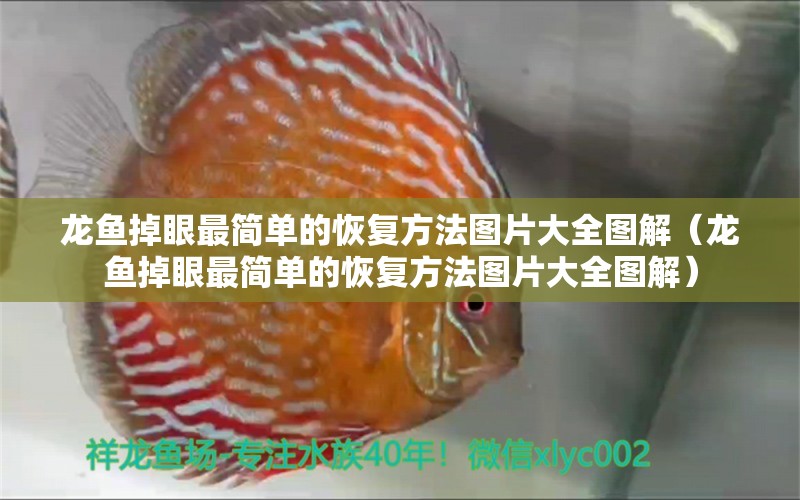 龍魚掉眼最簡(jiǎn)單的恢復(fù)方法圖片大全圖解（龍魚掉眼最簡(jiǎn)單的恢復(fù)方法圖片大全圖解）