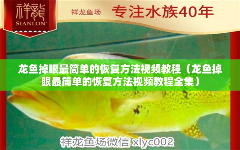 龍魚掉眼最簡單的恢復方法視頻教程（龍魚掉眼最簡單的恢復方法視頻教程全集）